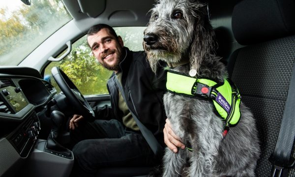 van drivers - driver and dog